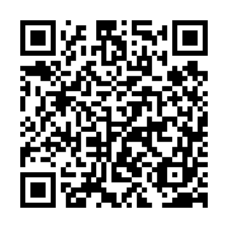 QR code for plate DMF 663