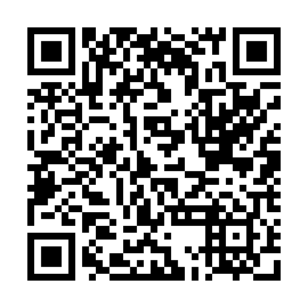 QR code for DMG 009