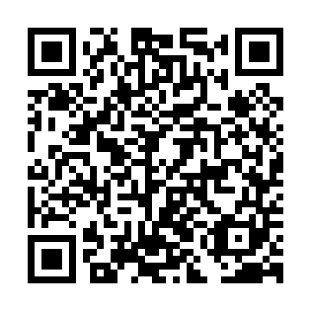 QR code for DMG 041