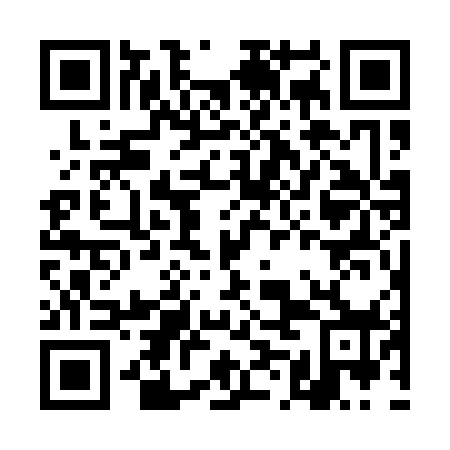 QR code for DMG 178