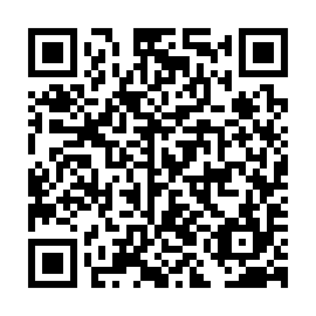 QR code for DMG 394