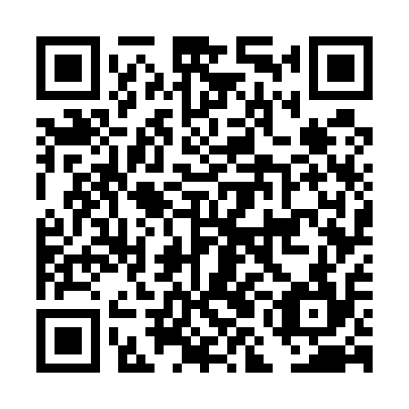 QR code for DMG 514