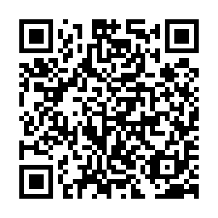 QR code for DMG 591