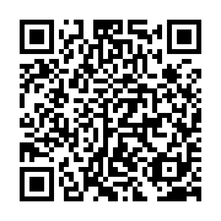 QR code for DMG 991