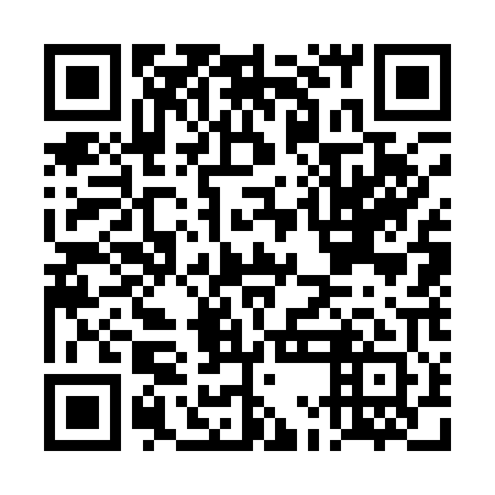 QR code for plate DMG 101