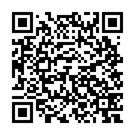 QR code for plate DMG 379