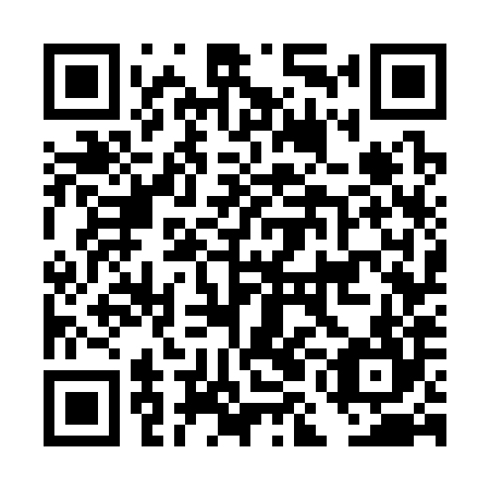 QR code for plate DMG 384