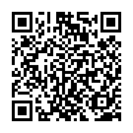 QR code for DMG410