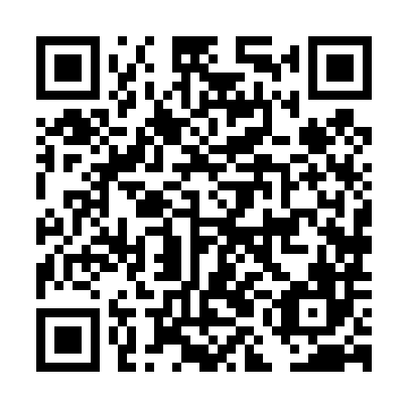 QR code for plate DMH 486