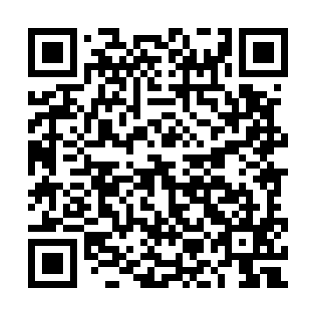 QR code for plate DMH 595