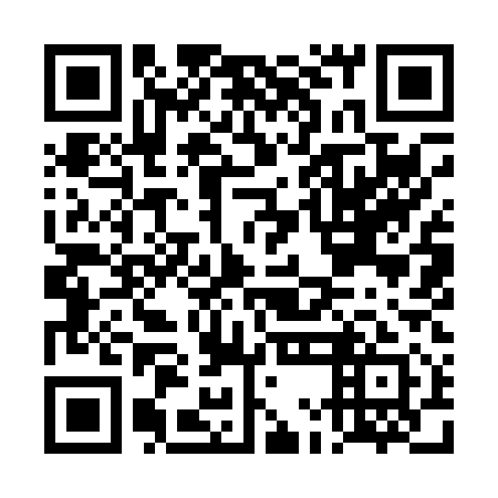 QR code for DMI 011