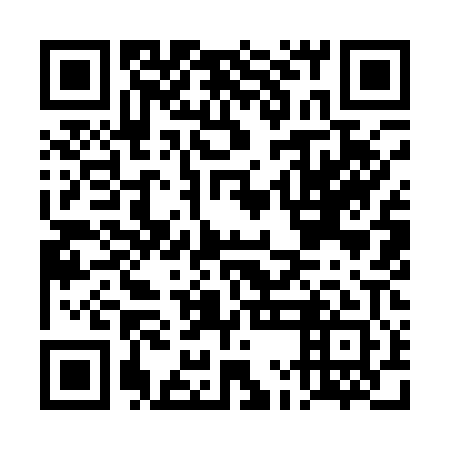 QR code for DMI 101