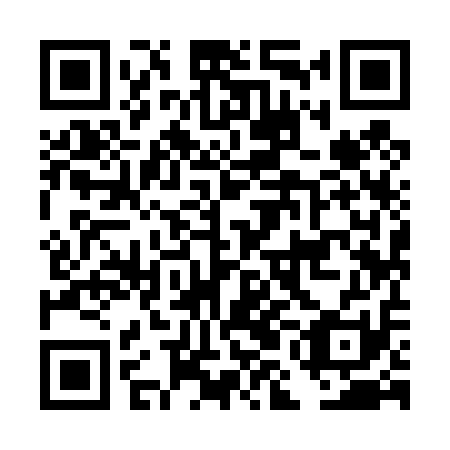 QR code for DMI 411