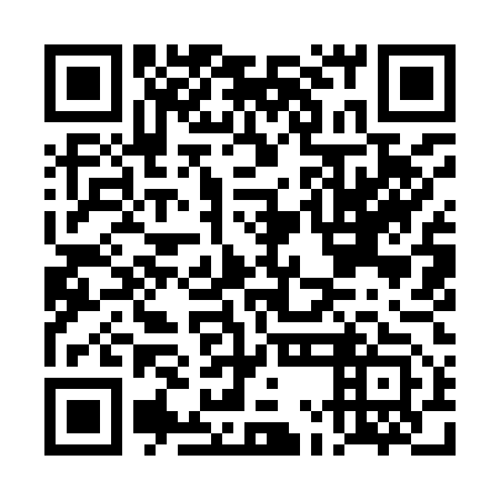 QR code for plate DMI 953