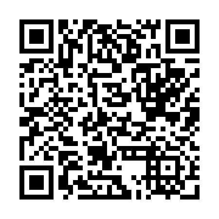 QR code for DMK 413