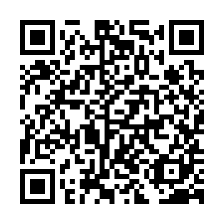 QR code for plate DMK 381