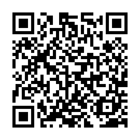 QR code for DML 041