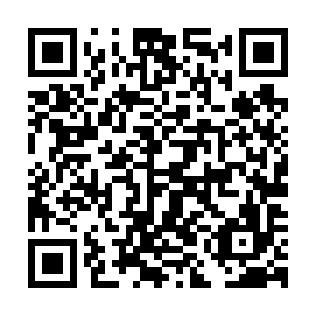 QR code for DML696