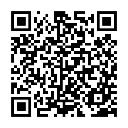 QR code for DMM 447