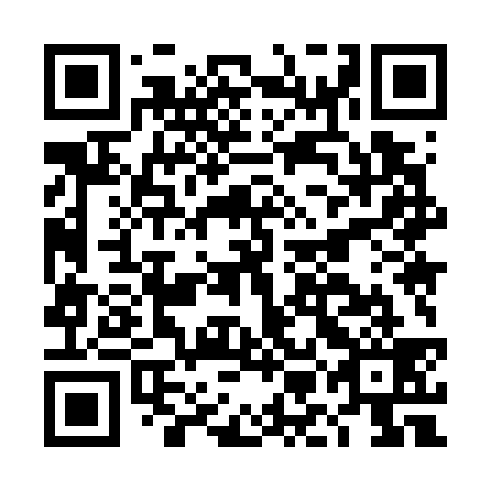 QR code for DMM 739