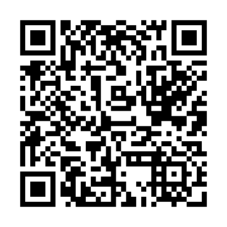 QR code for DMN 333