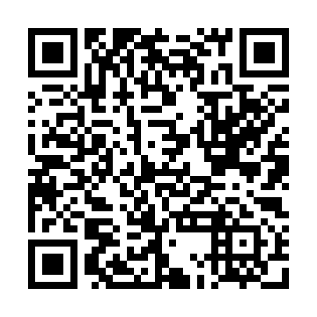 QR code for DMN 391