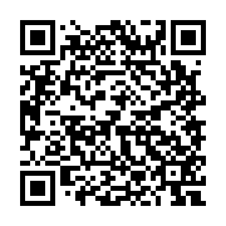 QR code for plate DMN 153