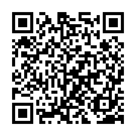 QR code for DMN173