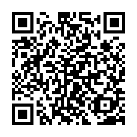 QR code for plate DMO 989