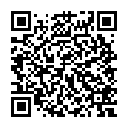 QR code for DMP 308