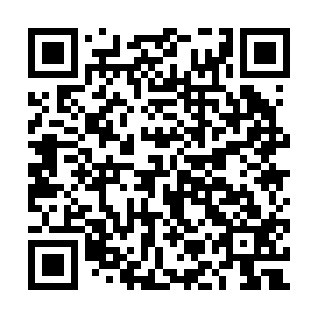QR code for plate DMQ 213