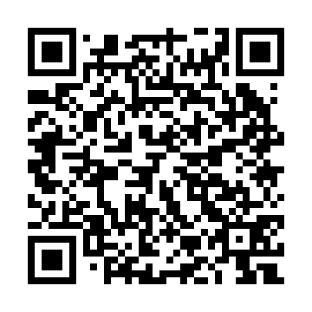 QR code for plate DMQ 271