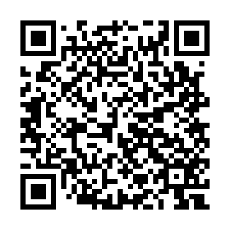 QR code for DMR 156