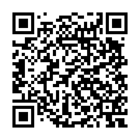 QR code for DMR 451