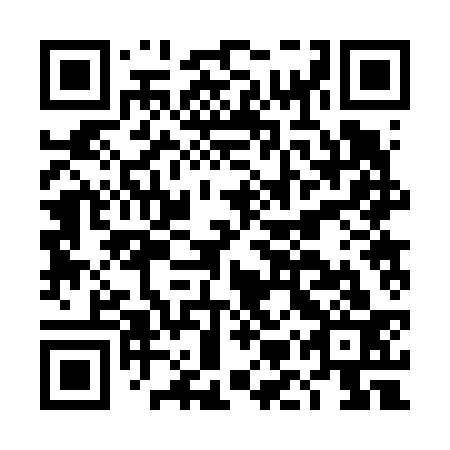 QR code for DMR 633