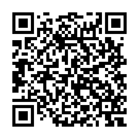 QR code for plate DMR 117
