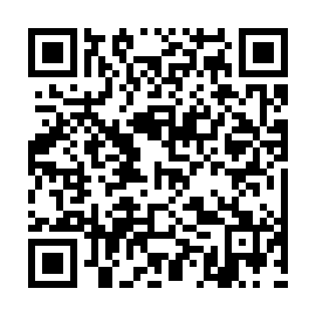 QR code for plate DMR 381