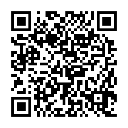 QR code for plate DMR 386