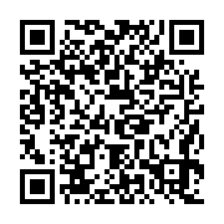 QR code for plate DMR 573