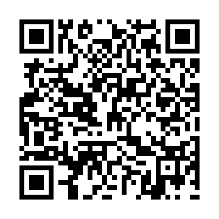 QR code for plate DMT 233
