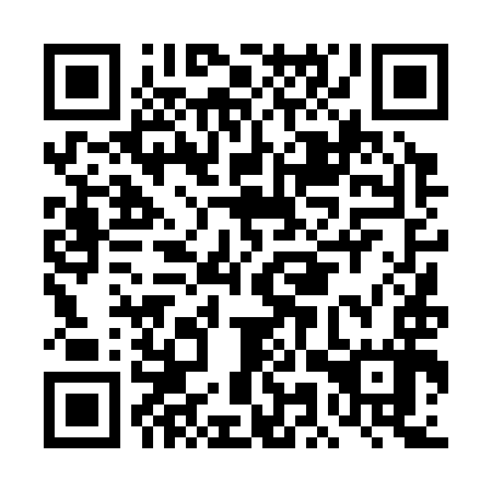QR code for plate DMT 397