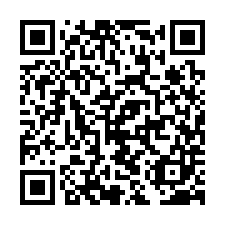 QR code for DMU 383