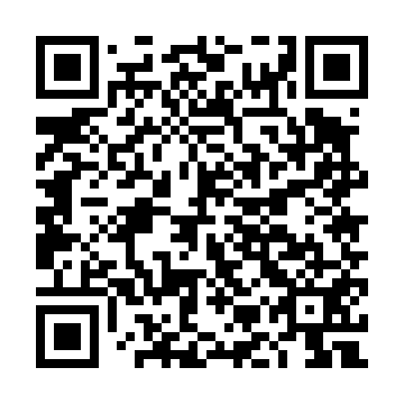 QR code for plate DMU 451