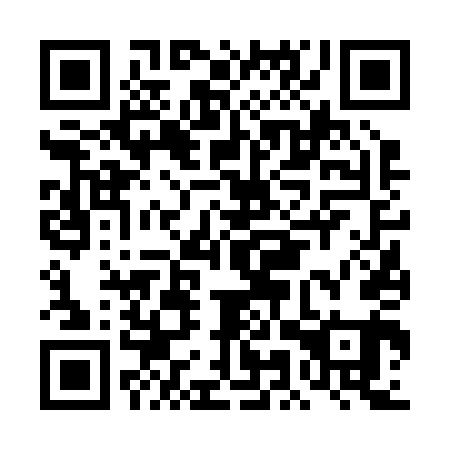 QR code for DMV 241