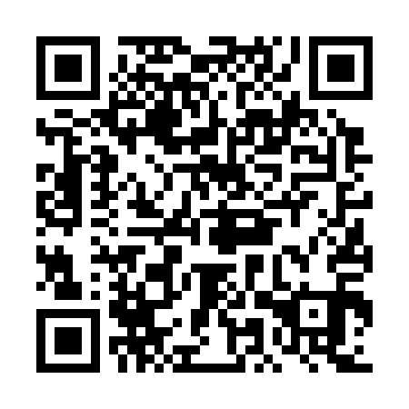QR code for DMV 311