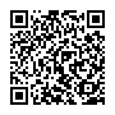 QR code for DMV 738