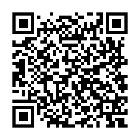 QR code for DMV 920