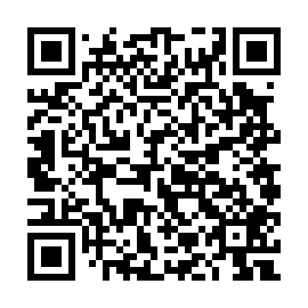 QR code for plate DMV 009