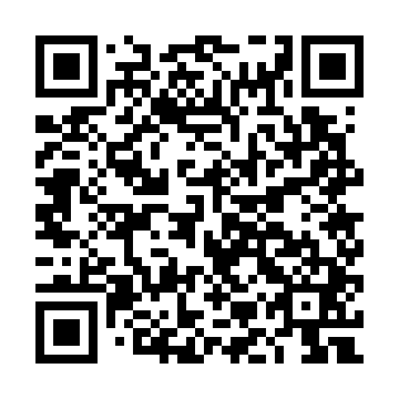 QR code for DMW 741