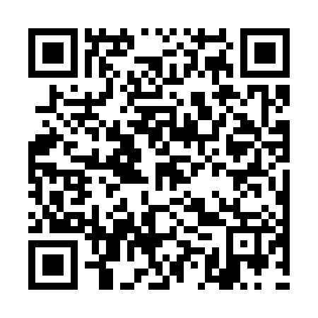 QR code for plate DMW 387